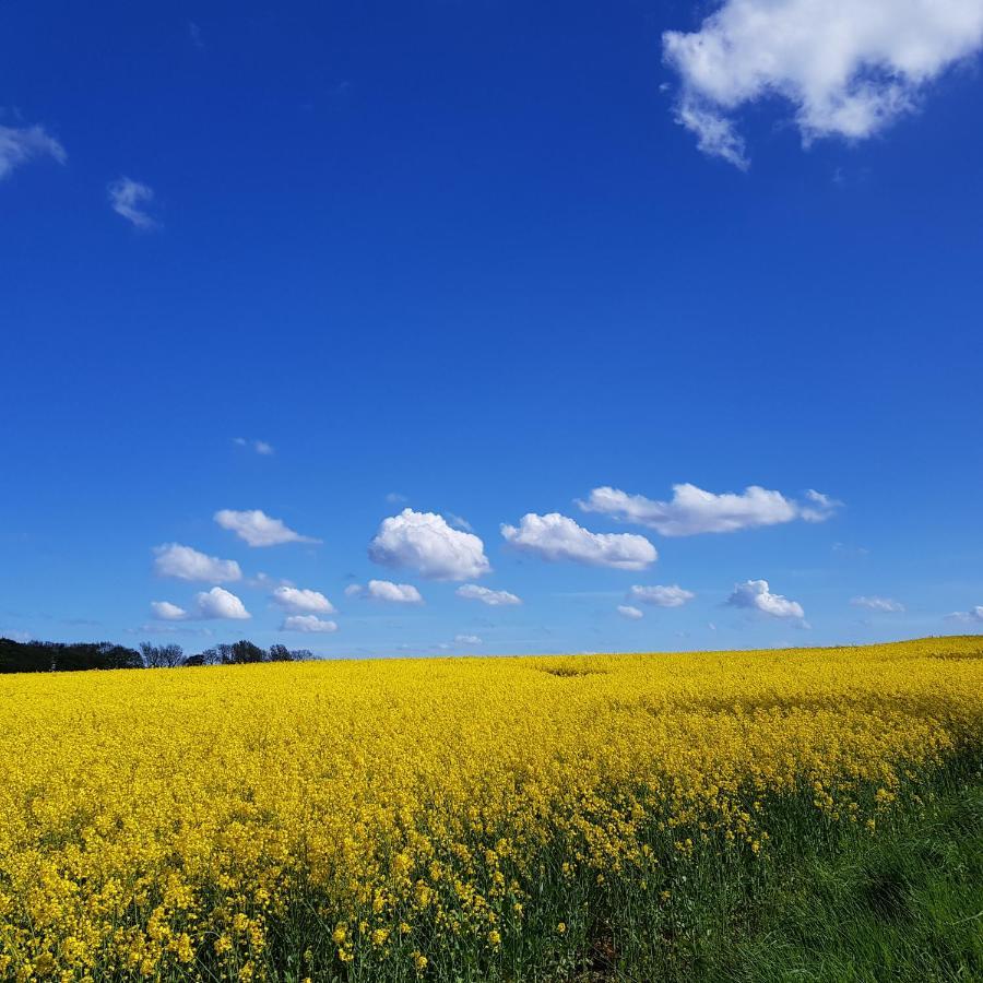 Strand & Garten Surendorf エクステリア 写真
