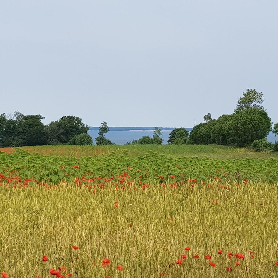Strand & Garten Surendorf エクステリア 写真